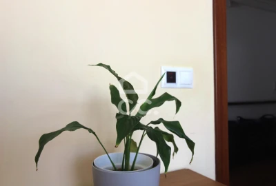 Negócio para Venda em Amora
