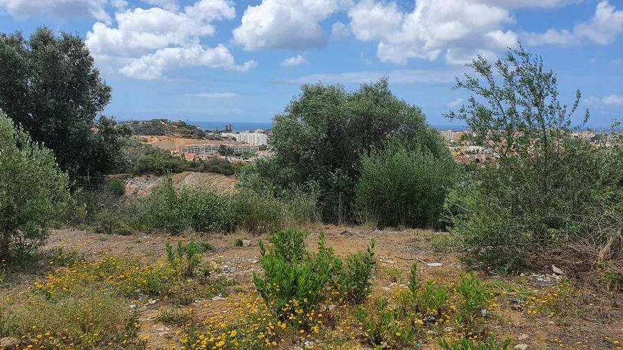 Terreno para Venda em Alcabideche