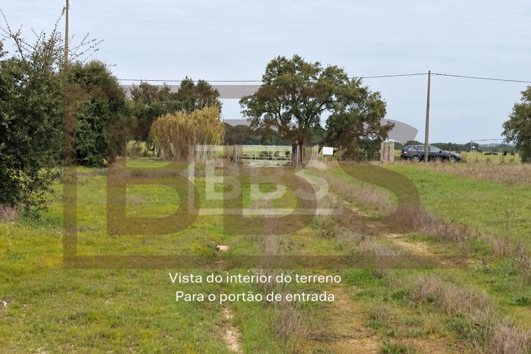 Terreno para Venda em Benavente Foto 13