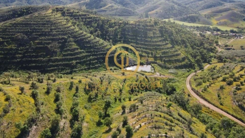Terreno para Venda em Saboia