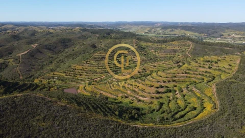 Terreno para Venda em Saboia