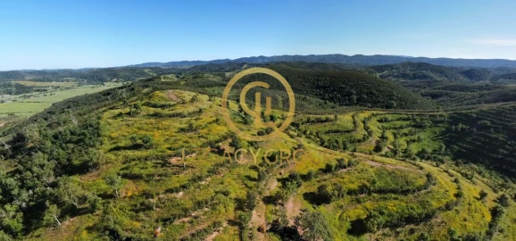 Terreno para Venda em Saboia