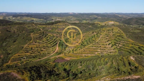 Terreno para Venda em Saboia