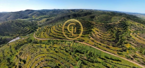 Terreno para Venda em Saboia