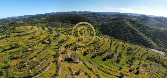 Terreno para Venda em Saboia