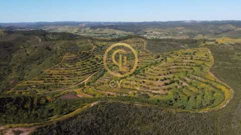 Terreno para Venda em Saboia