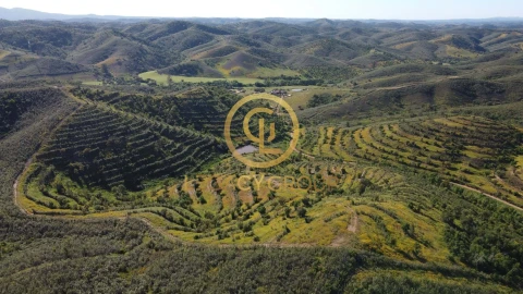 Terreno para Venda em Saboia