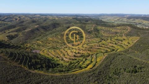 Terreno para Venda em Saboia