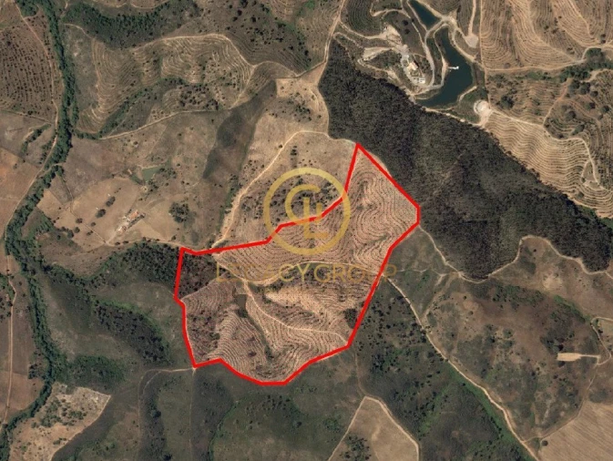 Terreno para Venda em Saboia Foto 12
