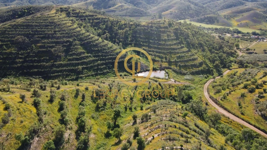 Terreno para Venda em Saboia