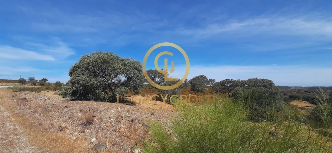 Terreno para Venda em Azinhal Foto 10
