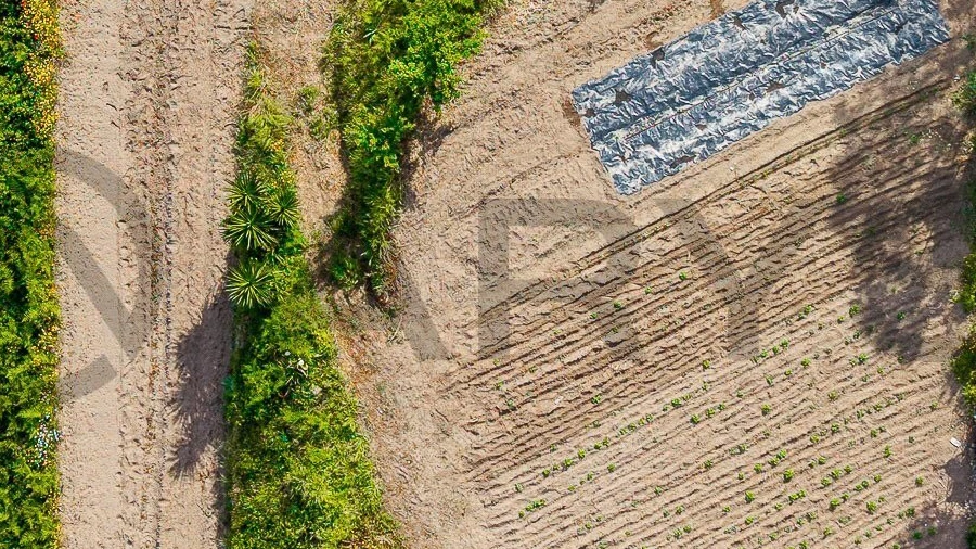 Terreno para Venda em Arentim e Cunha