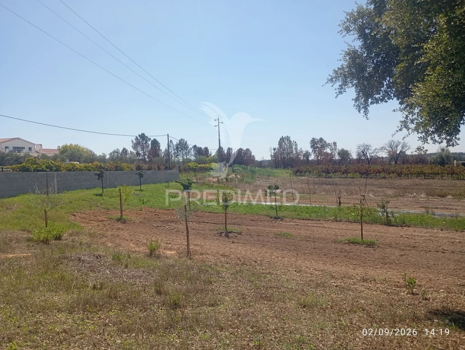 Terreno para Venda em Alpiarça Foto 7