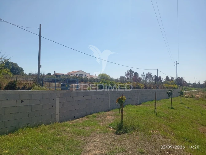 Terreno para Venda em Alpiarça Foto 3