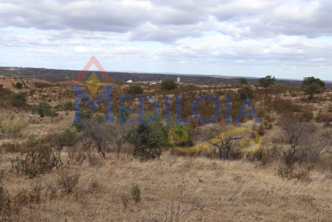 Terreno Agricola ou Rústico para Venda em Castro Marim Foto 3