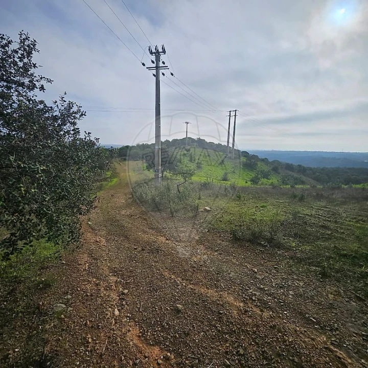 Terreno para Venda em Azinhal Foto 8