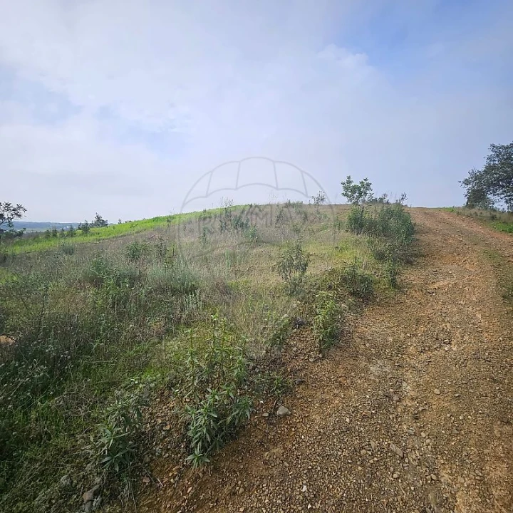 Terreno para Venda em Azinhal Foto 13