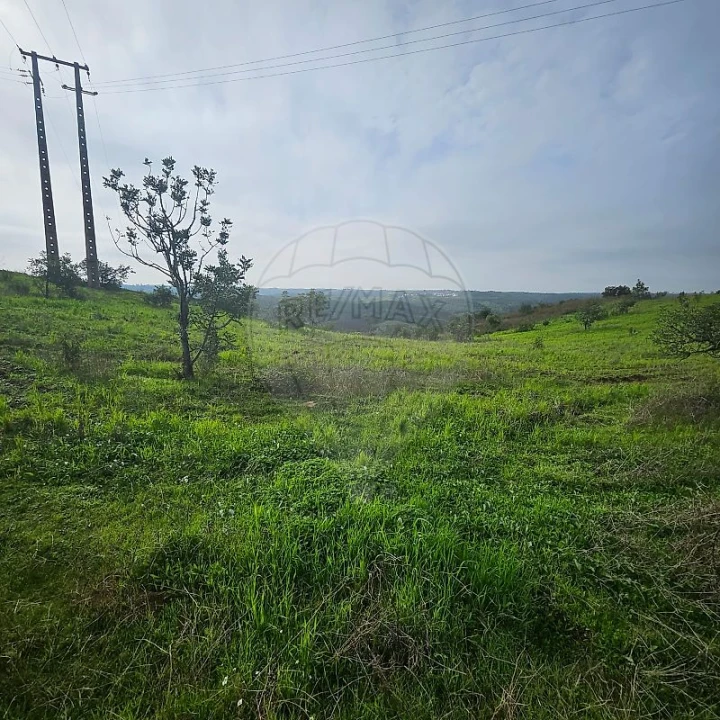 Terreno para Venda em Azinhal Foto 12