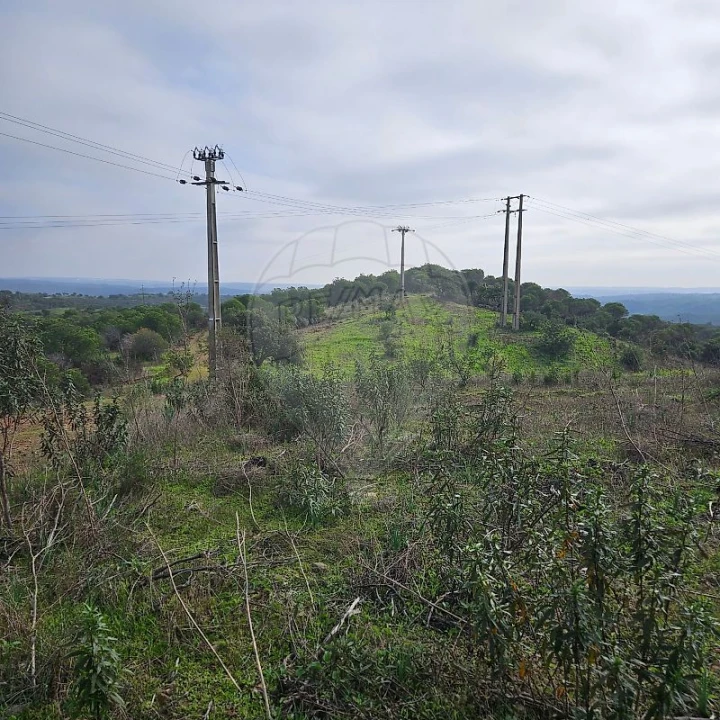 Terreno para Venda em Azinhal Foto 2