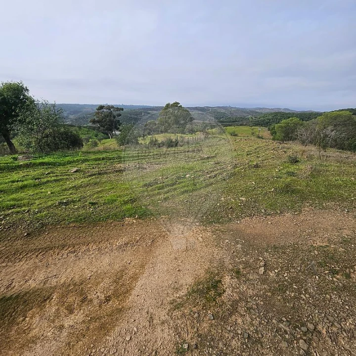 Terreno para Venda em Azinhal Foto 14