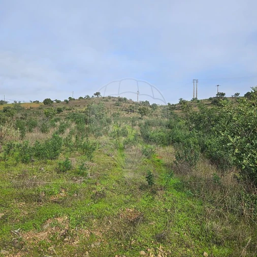 Terreno para Venda em Azinhal Foto 3