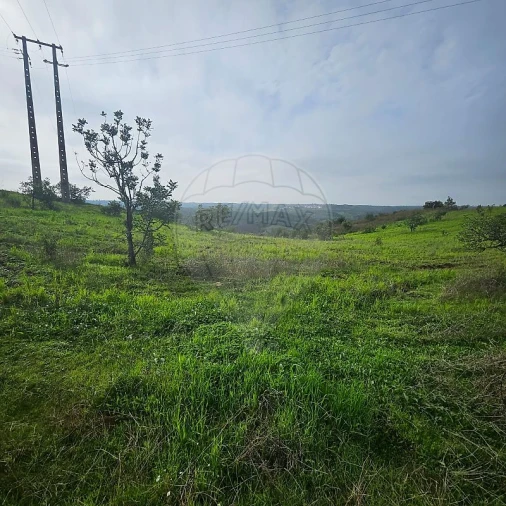 Terreno para Venda em Azinhal Foto 12