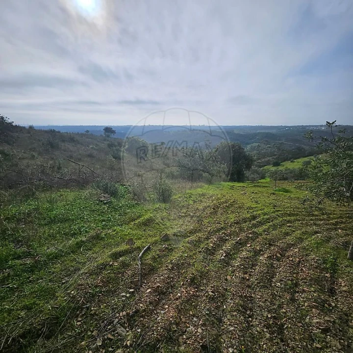 Terreno para Venda em Azinhal Foto 6