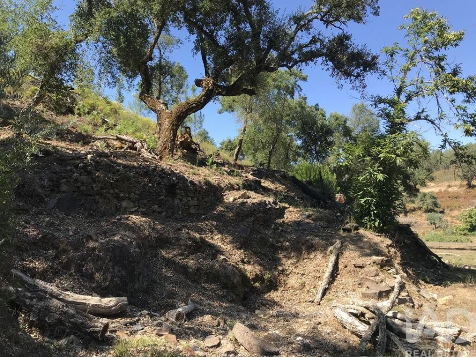 Quinta para Venda em Castelo Foto 25