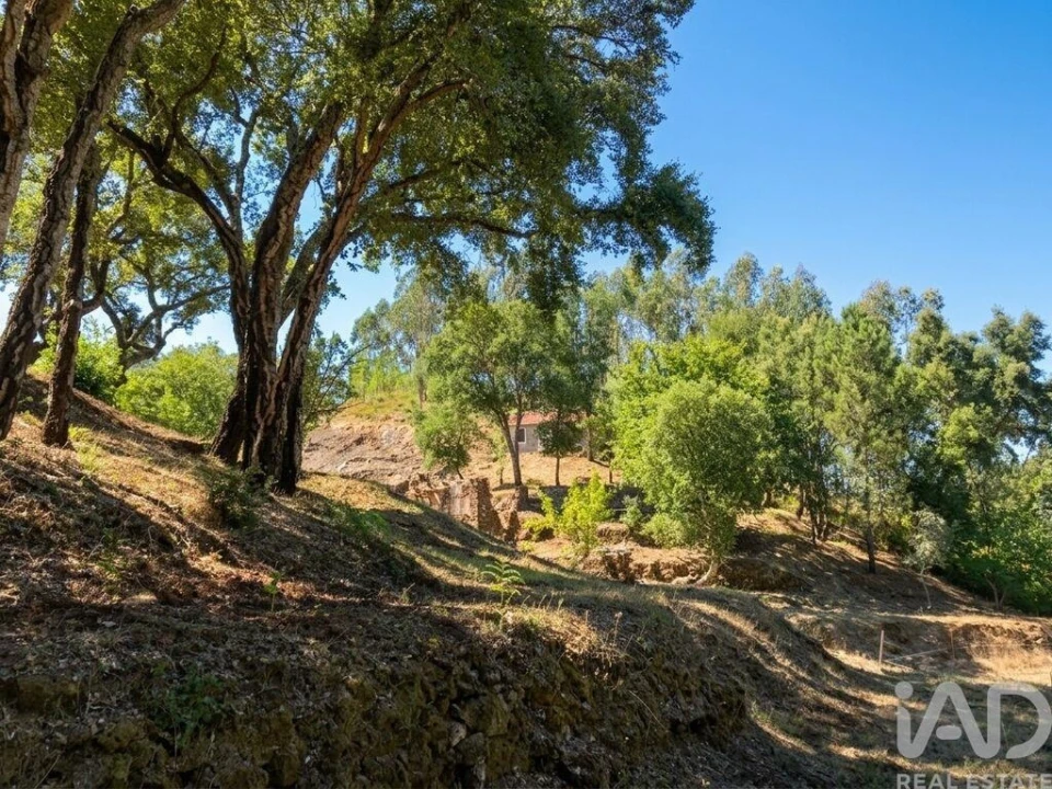 Quinta para Venda em Castelo Foto 2