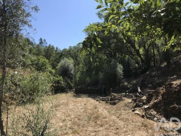 Quinta para Venda em Castelo