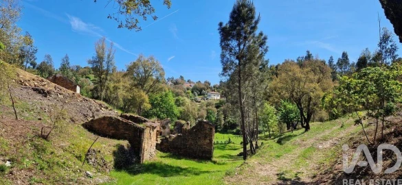 Quinta para Venda em Castelo