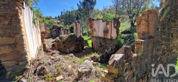 Quinta para Venda em Castelo