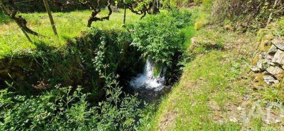 Quinta para Venda em Castelo