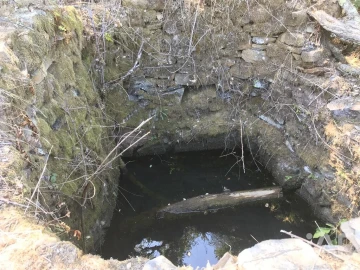 Quinta para Venda em Castelo