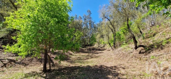 Quinta para Venda em Castelo