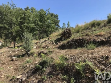 Quinta para Venda em Castelo