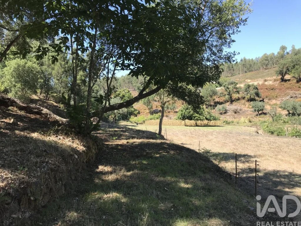 Quinta para Venda em Castelo Foto 29