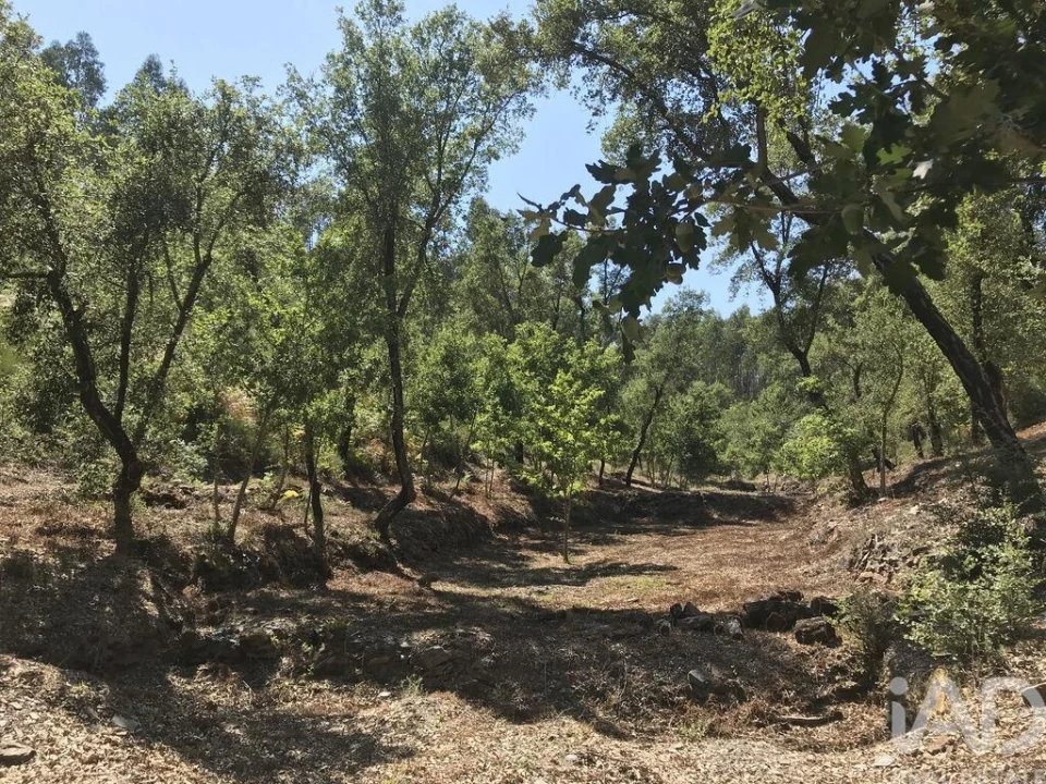 Quinta para Venda em Castelo Foto 30