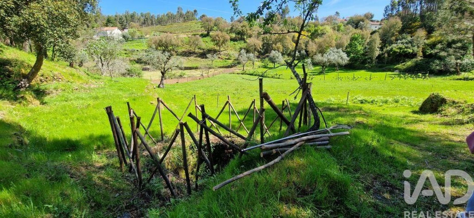 Quinta para Venda em Castelo Foto 31