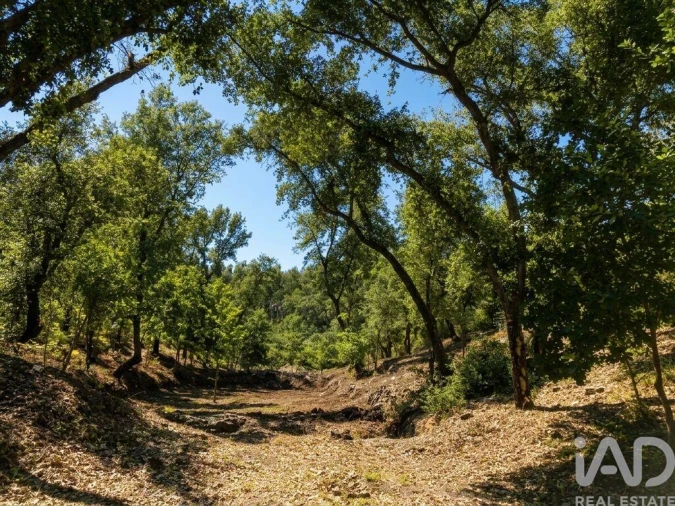 Quinta para Venda em Castelo Foto 3