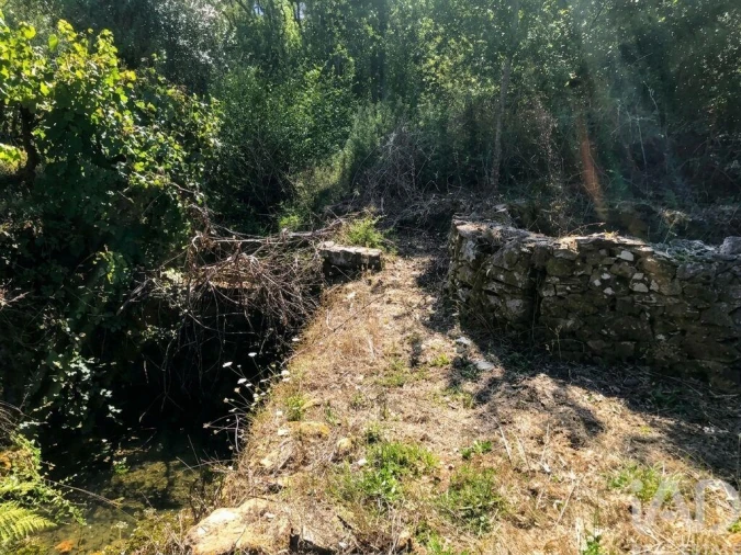 Quinta para Venda em Castelo Foto 17