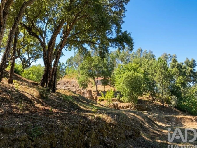 Quinta para Venda em Castelo Foto 2