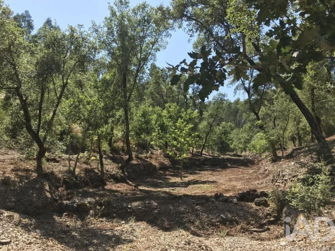 Quinta para Venda em Castelo Foto 30