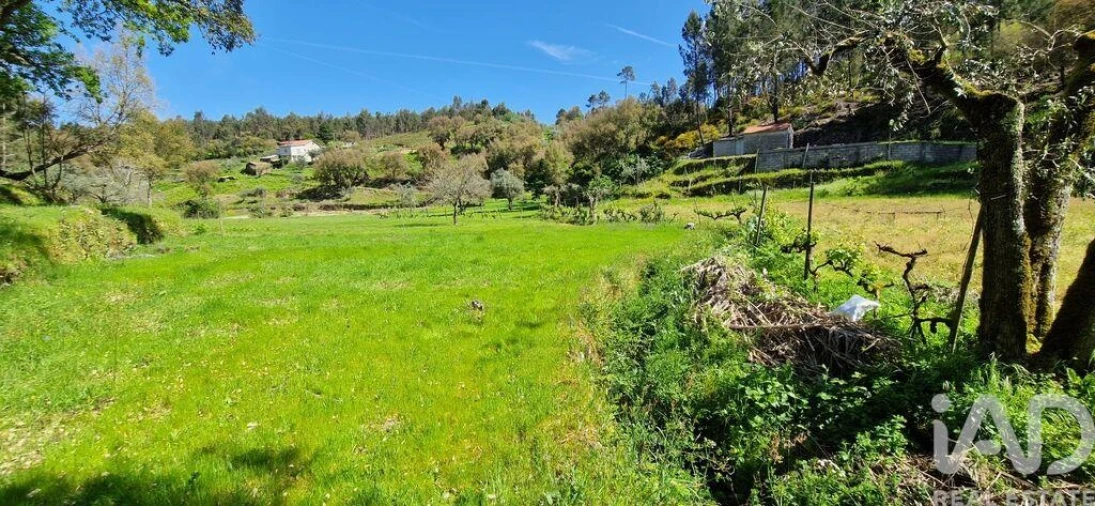 Quinta para Venda em Castelo Foto 33