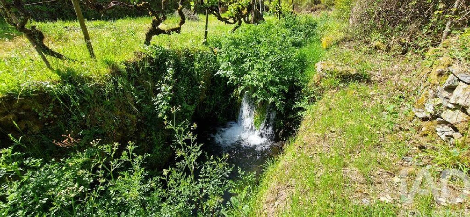 Quinta para Venda em Castelo Foto 34