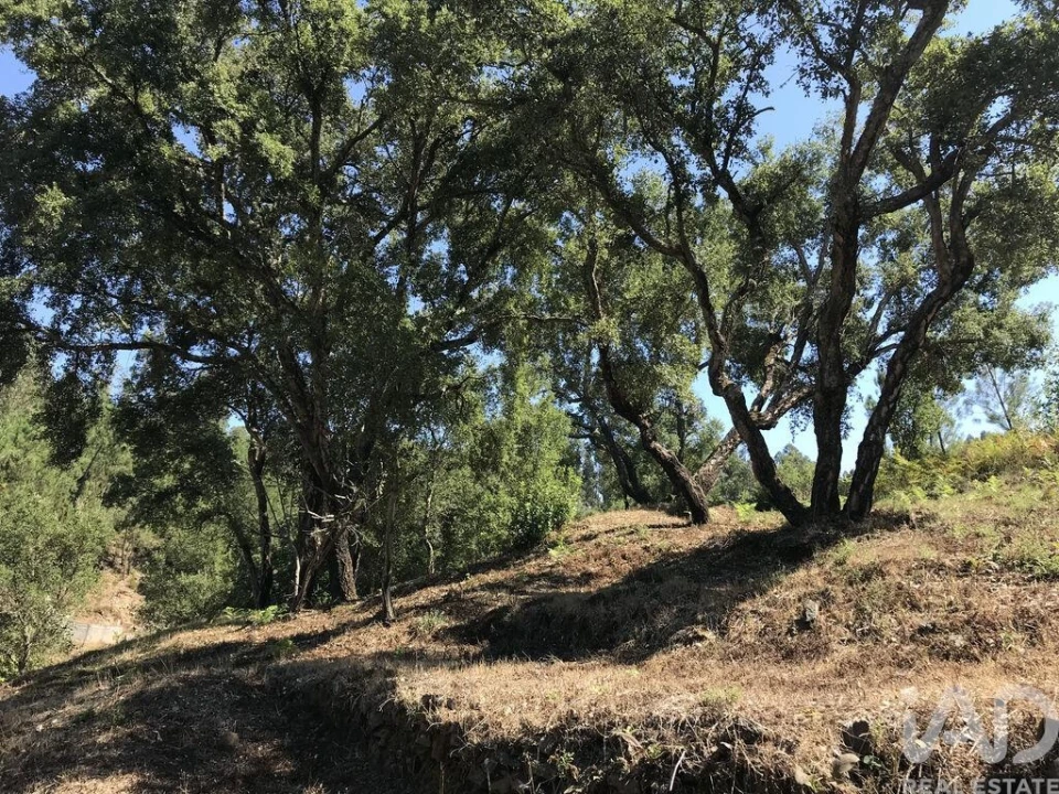 Quinta para Venda em Castelo Foto 26