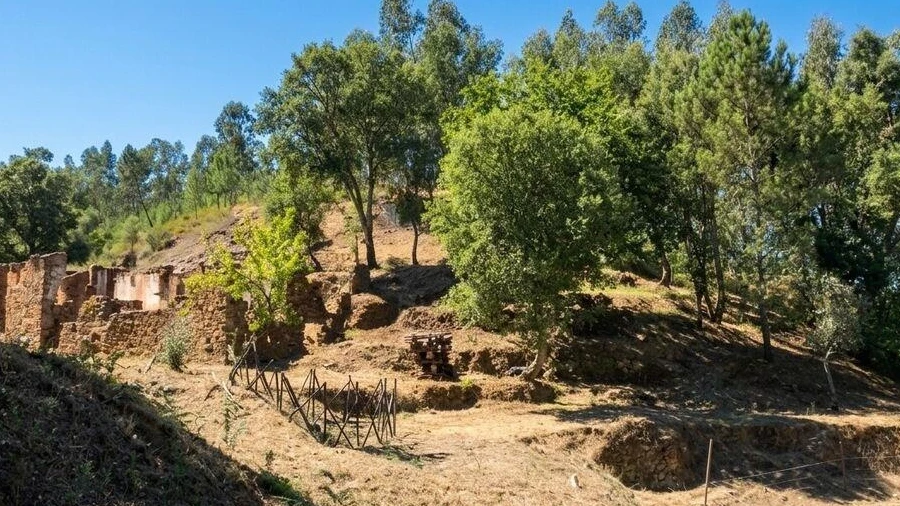 Quinta para Venda em Castelo