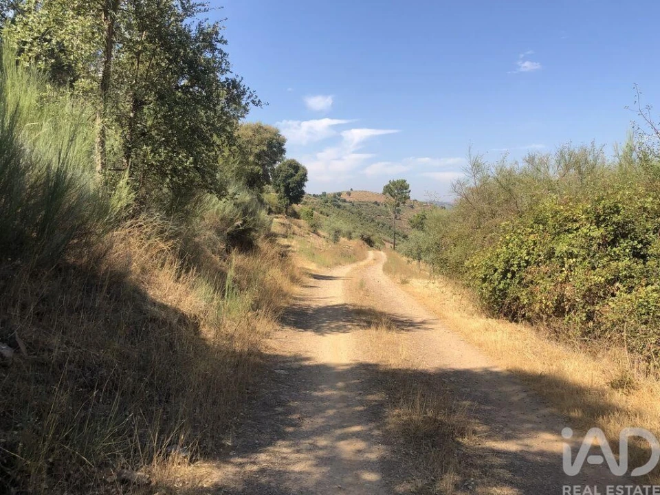 Terreno para Venda em Poiares Foto 10