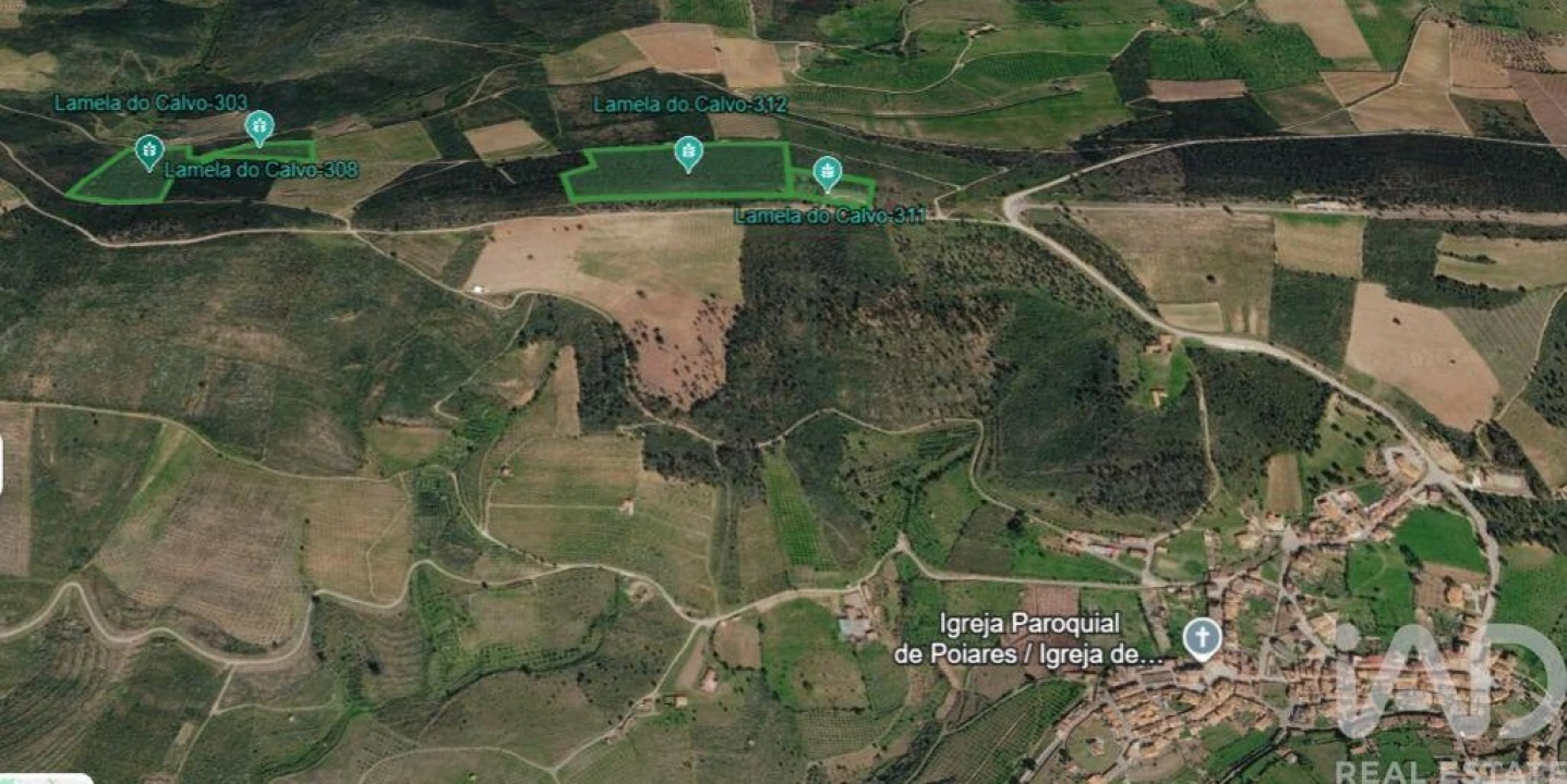 Terreno para Venda em Poiares Foto 6