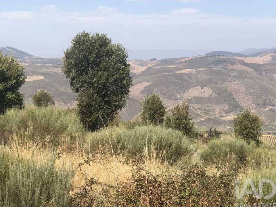 Terreno para Venda em Poiares Foto 14